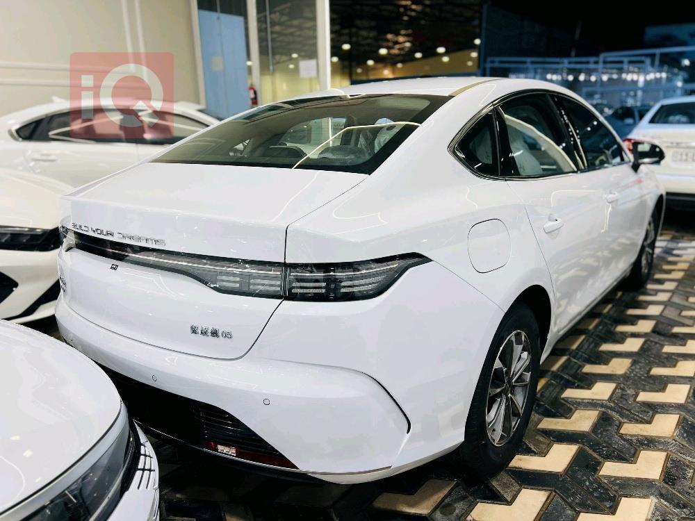 بي واي دي ديستروير 05